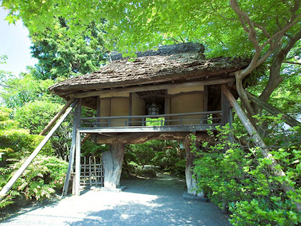 山ばな平八茶屋